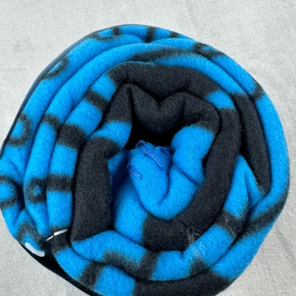 NFL carolina panthers